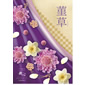 ��100�ĸ���35%OFF�۱�����Ϫ���Ų�����͹礻��SG-F��